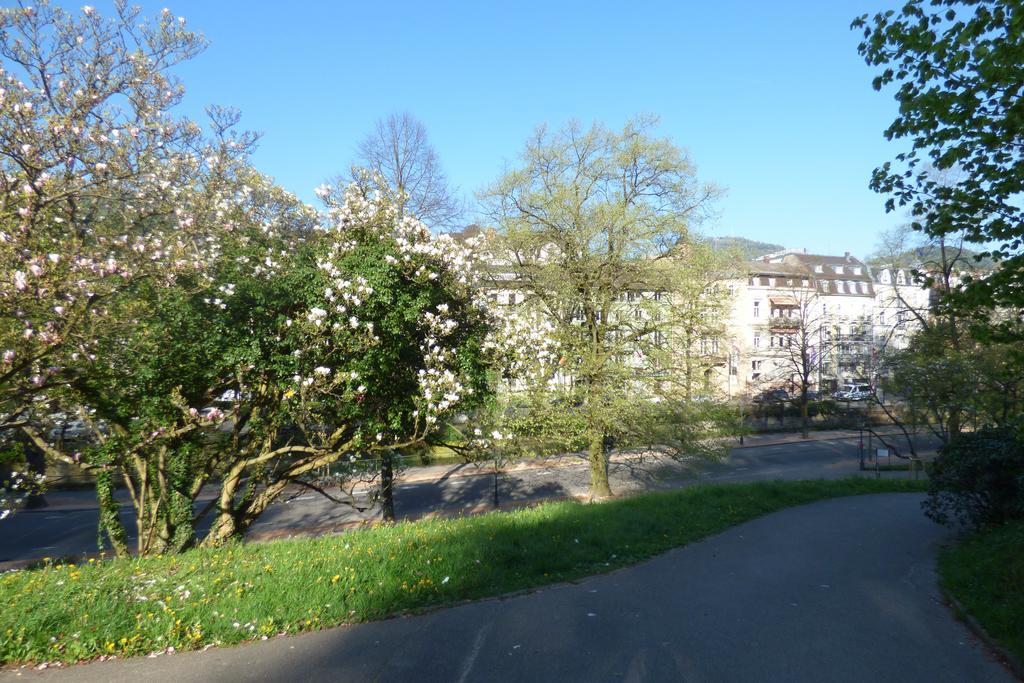 Colibri Apartment Baden-Baden Luaran gambar